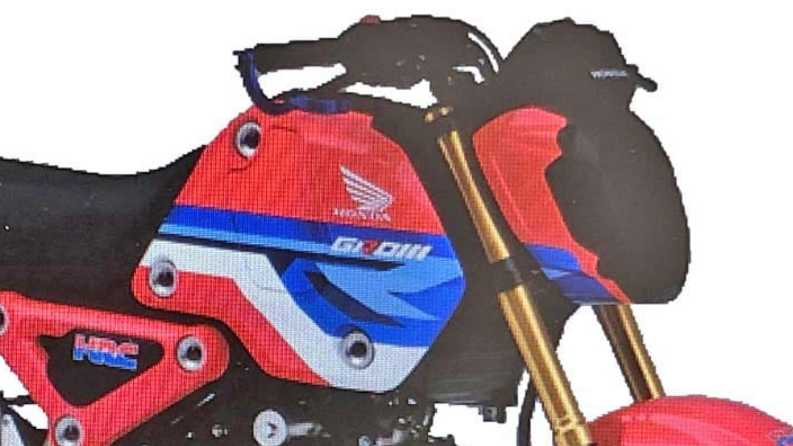 Honda Grom scoop [credit: Young Machine]